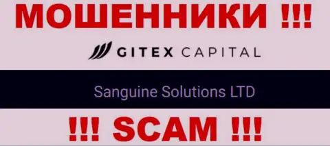 Юридическое лицо GitexCapital Pro - это Sanguine Solutions LTD, такую инфу показали жулики у себя на интернет-ресурсе