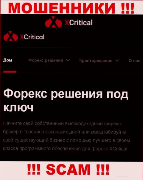 XCritical - это сомнительная компания, вид работы которой - Форекс