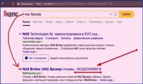 Первые 2 строки Яндекса - NAS-Broker мошенники !
