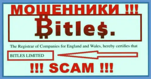 Владельцами Bitles является контора - Bitles Limited