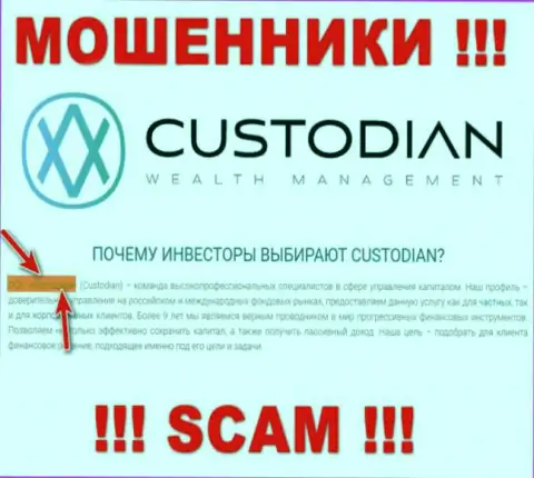 Юридическим лицом, управляющим интернет жуликами Custodian Ru, является ООО Кастодиан