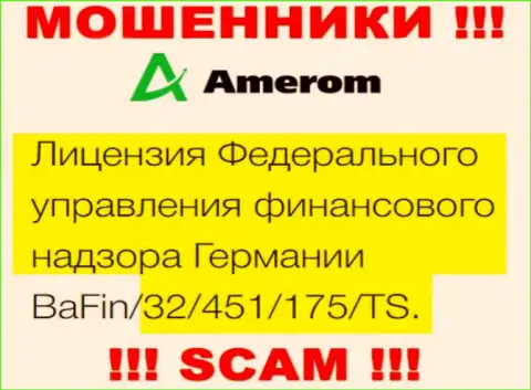 На портале Amerom De размещена лицензия на осуществление деятельности, но это ушлые мошенники - не стоит доверять им
