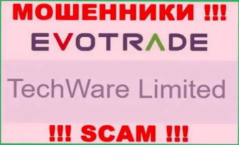 Юридическим лицом ЭвоТрейд Ком считается - TechWare Limited