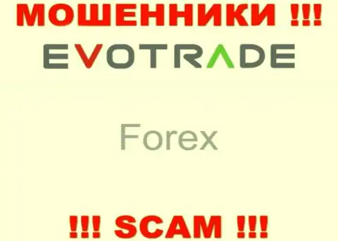 Evo Trade не вызывает доверия, ФОРЕКС - это то, чем промышляют указанные мошенники