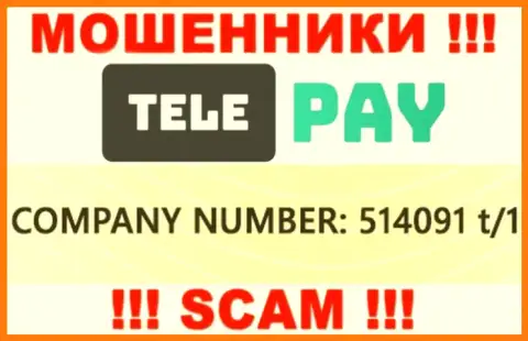 Номер регистрации TelePay, который размещен мошенниками у них на сайте: 514091 t/1