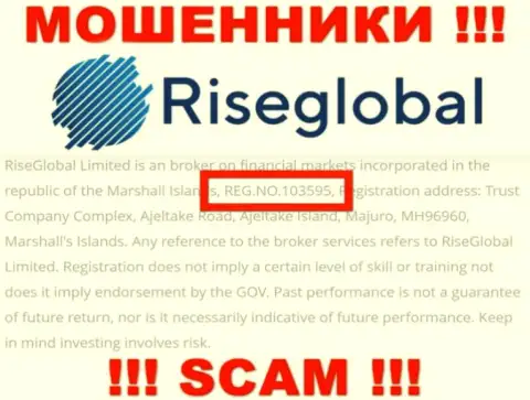 Номер регистрации Rise Global, который мошенники разместили на своей странице: 103595