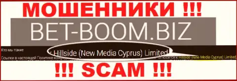 Юр. лицом, владеющим internet-мошенниками Bet-Boom Biz, является Хиллсиде (Нью Медиа Кипр) Лтд