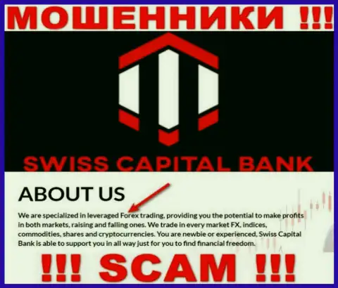 Forex - именно в данном направлении предоставляют свои услуги мошенники Swiss C Bank