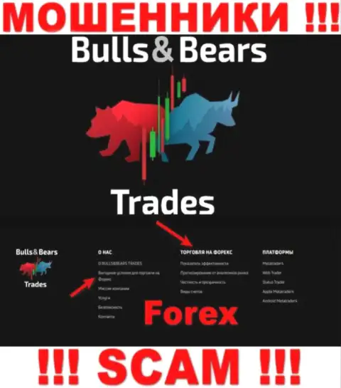 С Bulls Bears Trades, которые работают в области Forex, не заработаете - это кидалово
