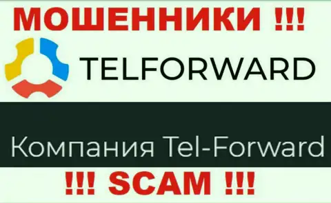 Юр лицо Tel Forward - это Тел-Форвард, такую информацию разместили обманщики у себя на web-портале