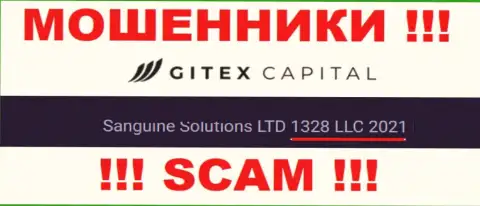 Номер регистрации компании Sanguine Solutions LTD - 1328LLC2021