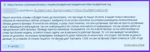 Автор мнения говорит о том, что Budget Invest - это ШУЛЕРА !!! Сотрудничать с которыми крайне опасно