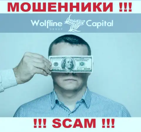Деятельность Wolfline Capital НЕЗАКОННА, ни регулятора, ни лицензии на право осуществления деятельности нет