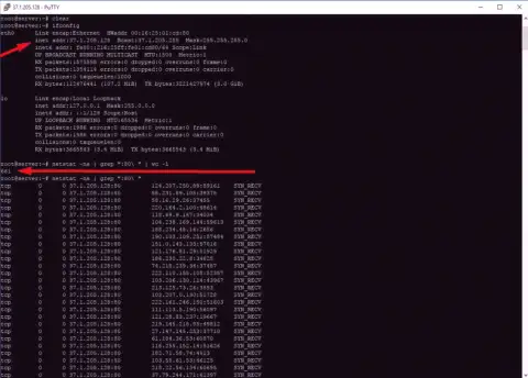 Подтверждение DDoS-атаки на сайт maximarkets.pro